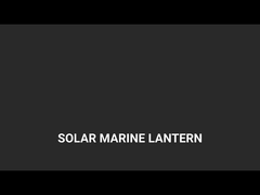La luz solar marina y la luz marina de hielo